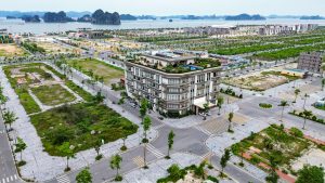 Thumbnail Phương Đông Wonder Island